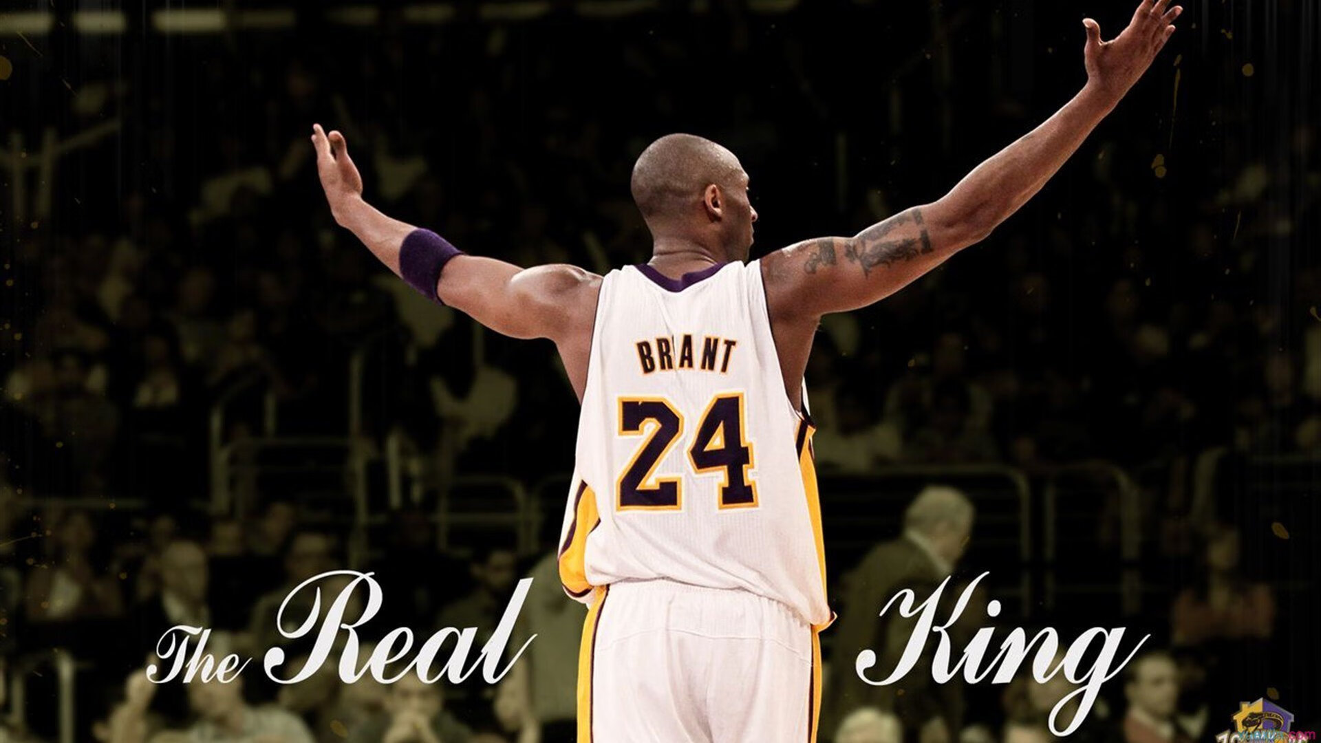 爵士年轻控卫组织能力获得教练认可，爵士队防守悍将